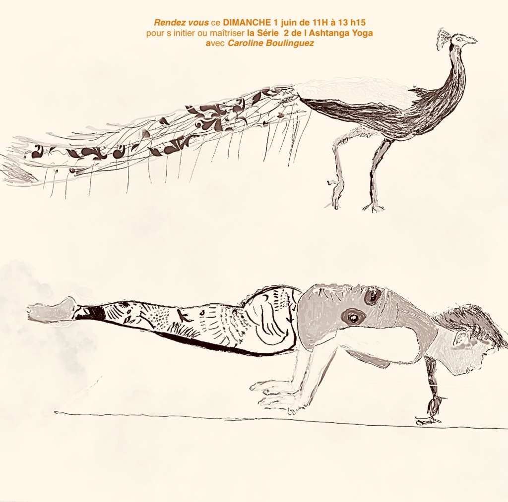 Plonger dans la série 2 de l ASHTANGA avec CAROLINE BOULINGUEZ