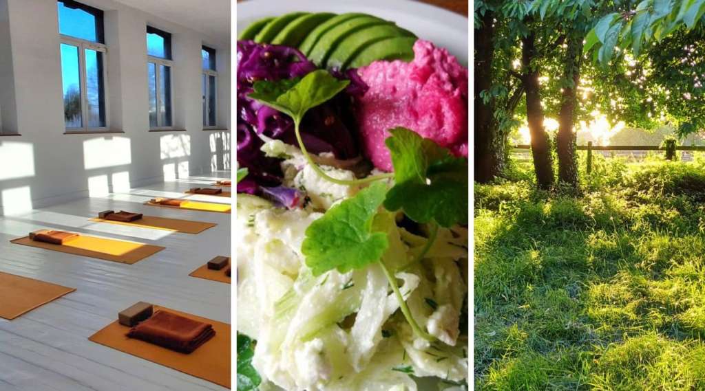 Normandie stage formation ashtanga yoga