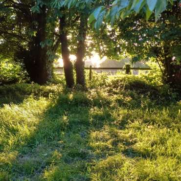 [MAI 2026] Grand Week-end de Stage Ashtanga avec Caroline Boulinguez en Normandie