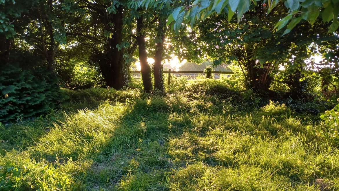 [MAI 2026] Grand Week-end de Stage Ashtanga avec Caroline Boulinguez en Normandie